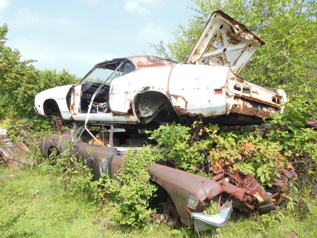 Stark wrecking yard, Dayton OH